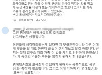 의대생이 여자친구의 얼굴 사진을 확산시켜 피해를 입힌 사건, 친언니의 고발 기사의 썸네일