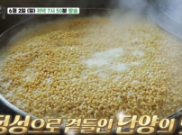 '백반기행' 단양 흑마늘오리백숙과 산초두부구이 맛집 위치는? 기사의 썸네일