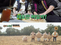 이선빈, 김가은, 강태오가 출격... '감자연구소' 미리 맛보는 '감자세끼'! 기사의 썸네일